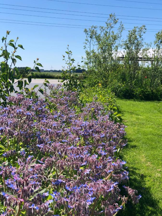 Loft In De Polder Leilighet Grootschermer Eksteriør bilde